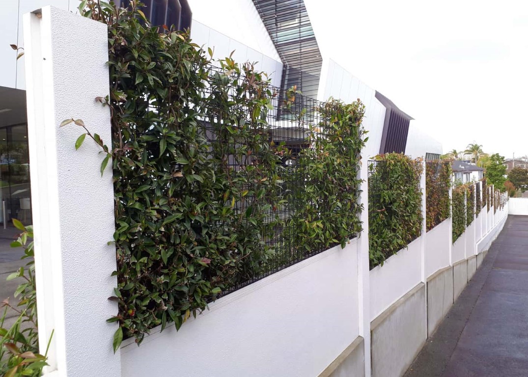 Green Screen 1 - Fencing & Retaining Walls Christchurch project